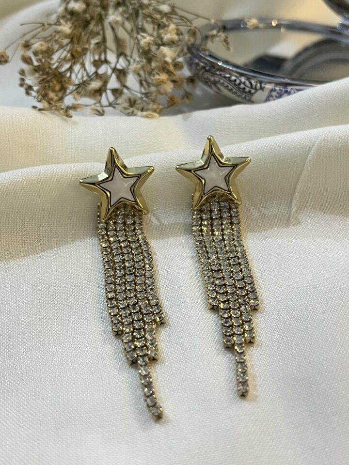 Elaris Çelik Küpe